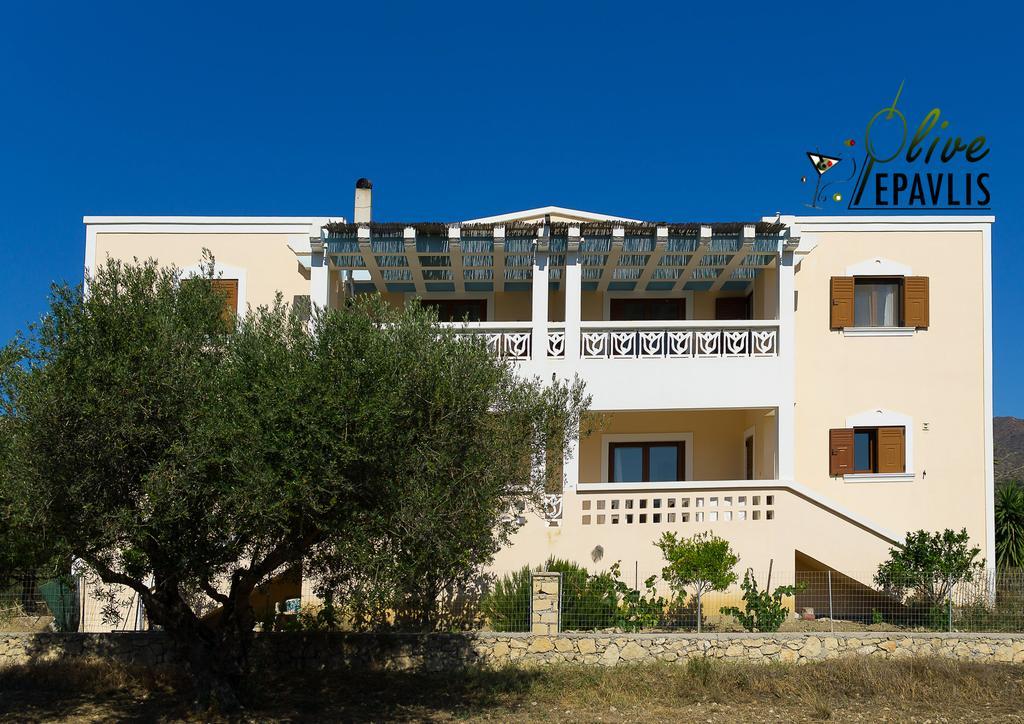 Olive Epavlis Appartement Karpathos Buitenkant foto