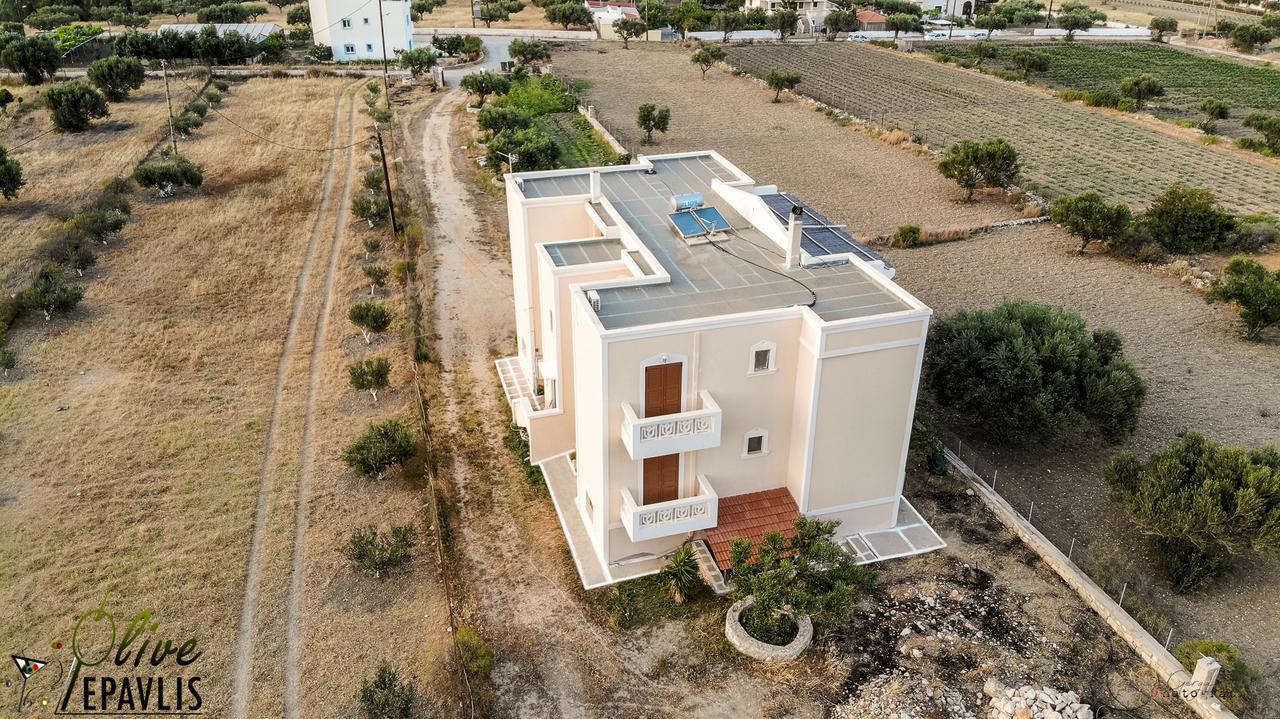 Olive Epavlis Appartement Karpathos Buitenkant foto