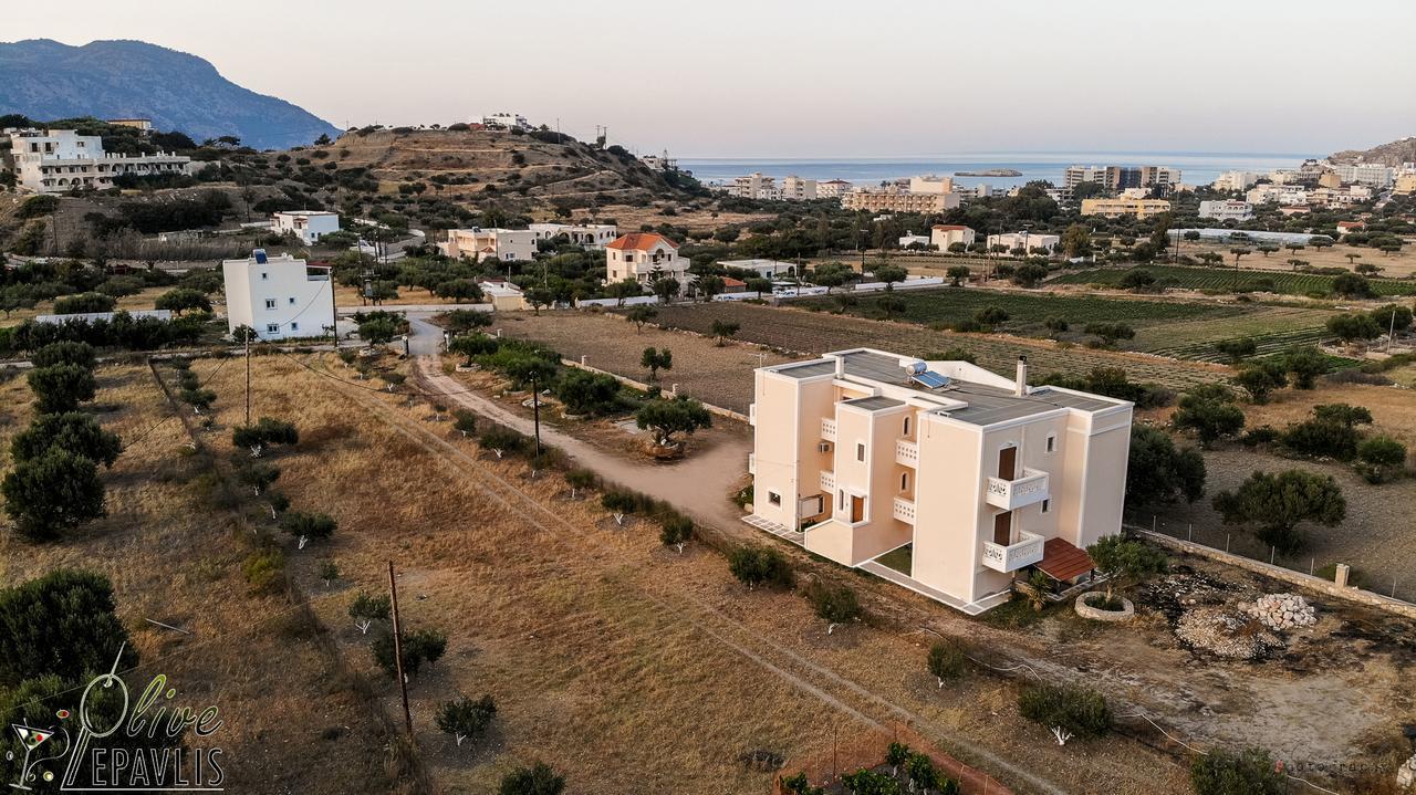 Olive Epavlis Appartement Karpathos Buitenkant foto