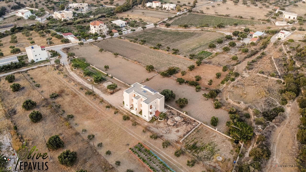 Olive Epavlis Appartement Karpathos Buitenkant foto