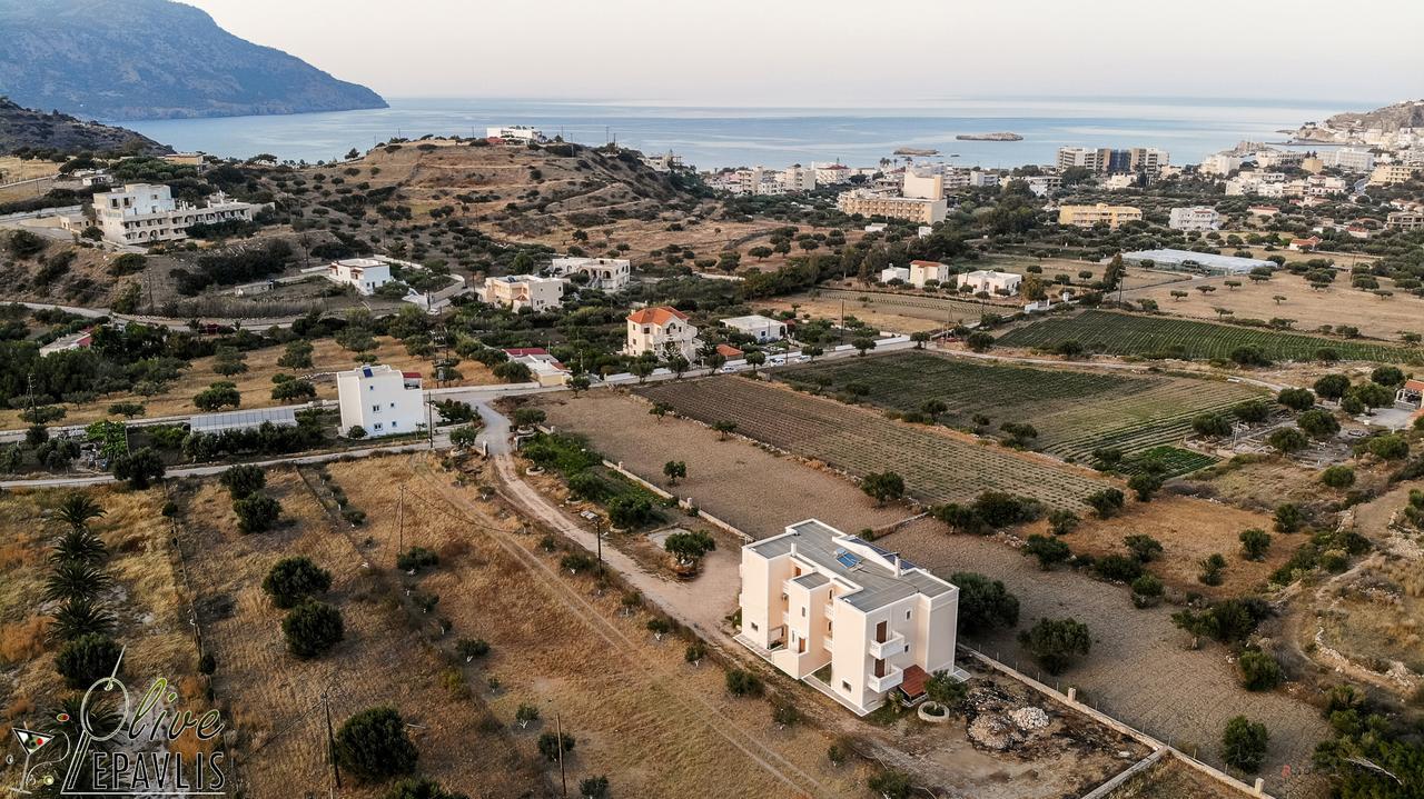 Olive Epavlis Appartement Karpathos Buitenkant foto